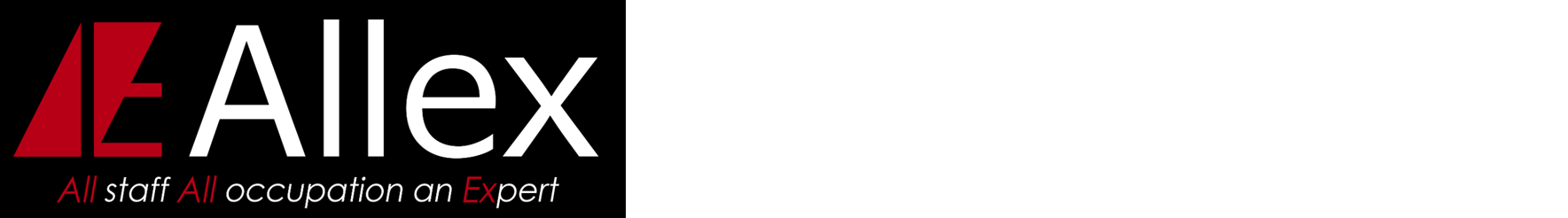 株式会社アルレクス
